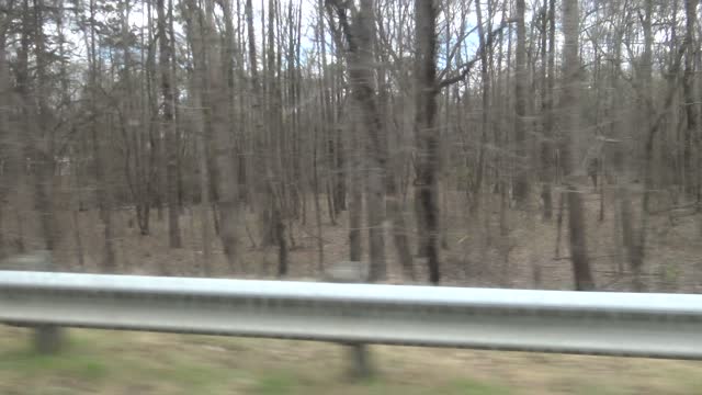 Crossing Over A Bridge As A Train Approaches With Perfect Timing And A Cat Riding Along