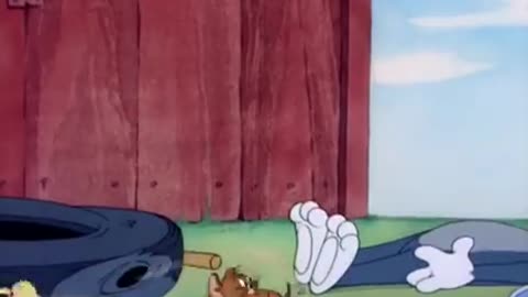 Tom & Jerry Fight Scene Animation Cartoons Movies Clips