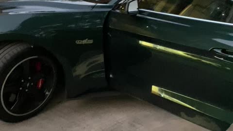 New 2019 Mustang Bullitt GT w/Whipple Supercharger 775 RWHP