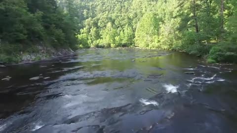 Natural video best themes : 1