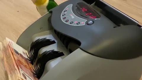 parrot counting money