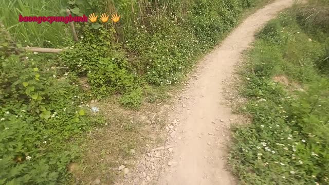 life for cultivation road into the ravine | daily life vlog