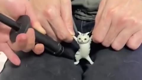 #Cute Cat #Funnist animal#angry#cat#
