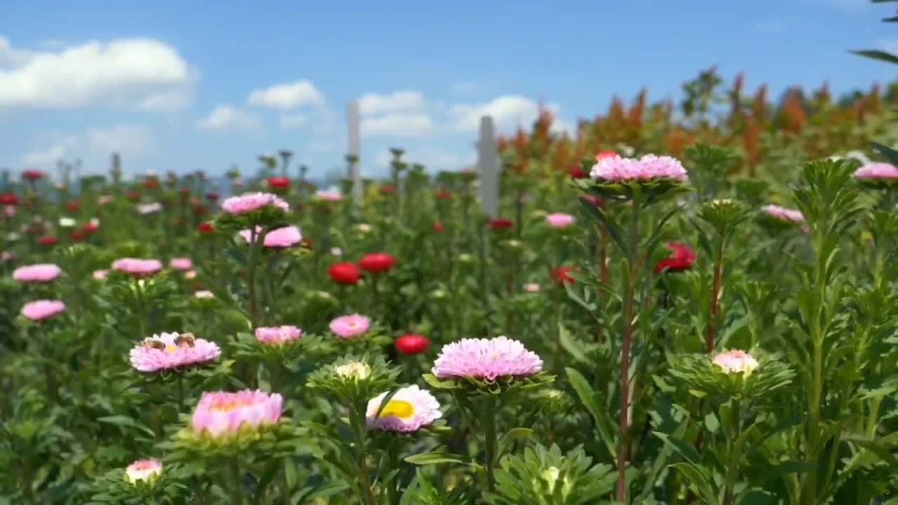 Beautiful Flute Music For Healing And Calming The Soul And The Mind As Well As Anxiety.