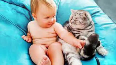 Baby And Cat Fun And Cute Funny Baby Videos! cutest baby
