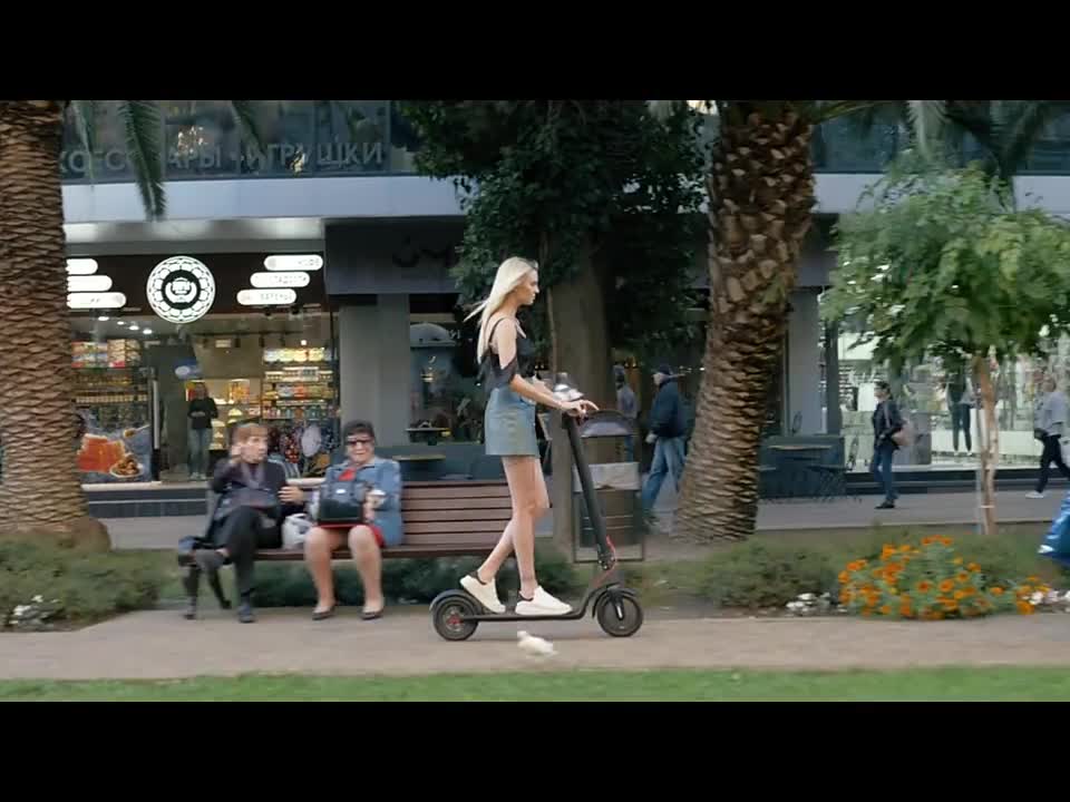 Light Portable Powerful Motor Wheel Electric Scooter