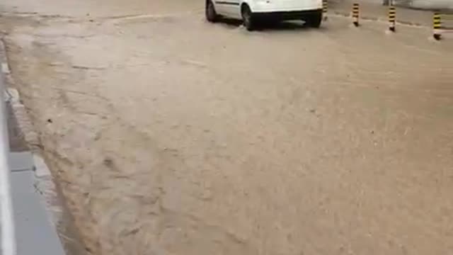 Clever Kitty Escapes Flooded Street