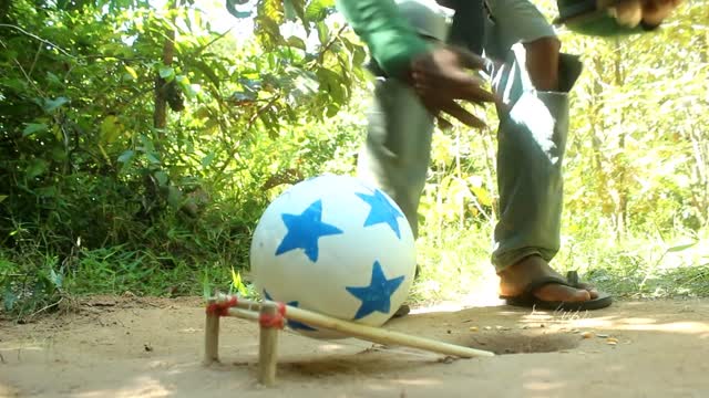 New Creative Unique Bird Trap Using Small Plastic Ball - Rolling Parrot Trap in Hole