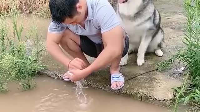 Watch Fight cats videos 2022 latest videos and dogs cats bites latest videos