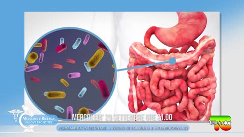 Permeabilità intestinale e i legami con Zonulina e Interleuchina 22