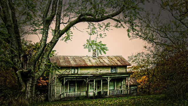 Carolina Dawn (Old Home Place)