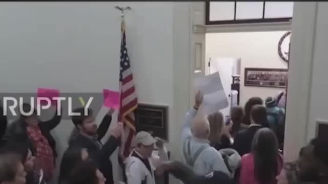 2017 Feminist Insurrection