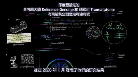 WATCH THE WATER - 留意水 繁體中文完整版 Dr. Bryan Ardis & Stew Peters