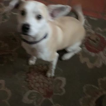 Our CIRCLE BACK Girl