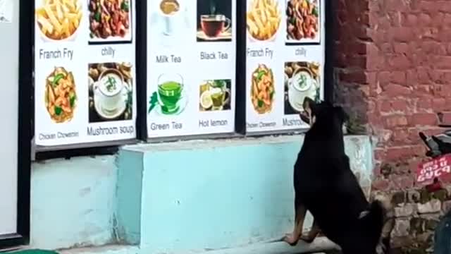 Pure heart__He doesn't know he must have money to fill the belly.