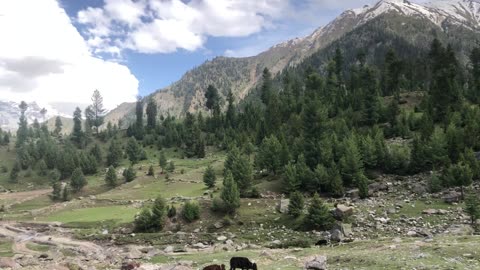 Life of mountainous people in Gilgit Baltistan