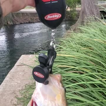 Urban Bass fishin in Texas