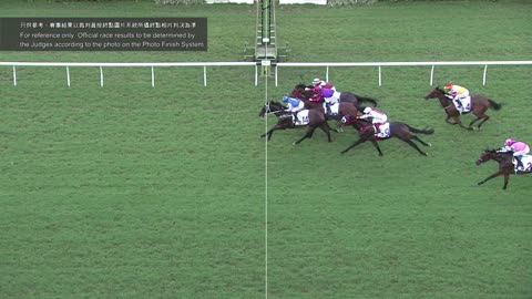 Horse_Race_2022060509_Chinese