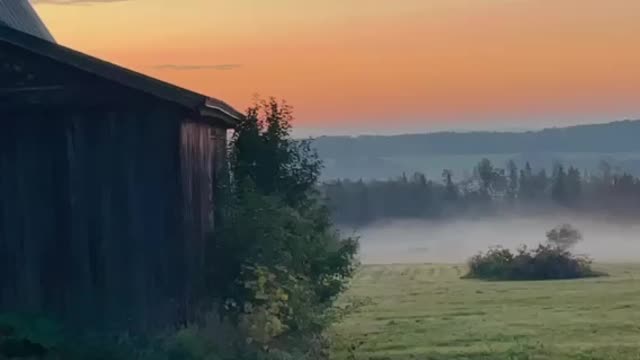 Patchy fog at sunrise