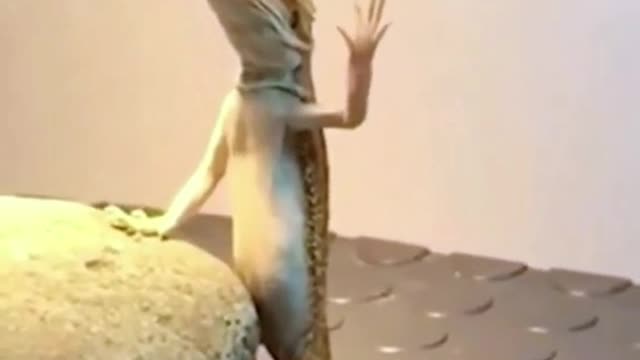 GECKO DOING YOGA