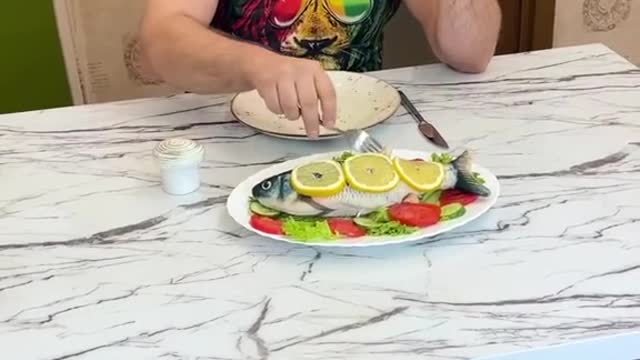 funny|prank|jokes|funny jokes|dad jokes|funny memes|funny video|fun|laughing|funny animal|knock