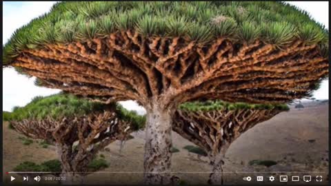 Is Nature God? | Mystery School