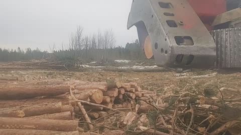 725C Timber Pro Logmax 7000xt