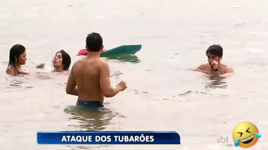 Pegadinha com tubarão fake
