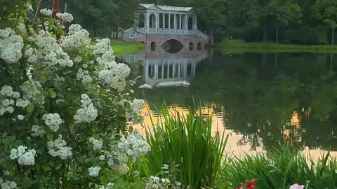 💛 The beauty of Catherine Park