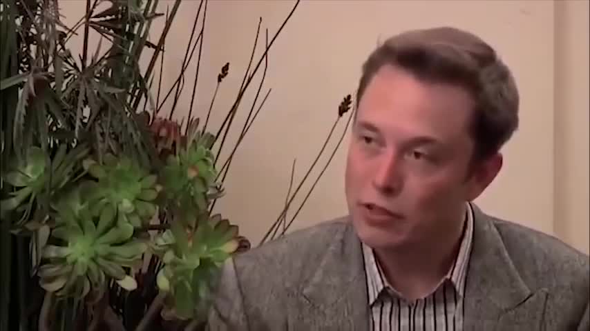 ELON MUSK Funniest Moments - Sarcasm and Thug life