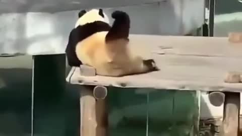 that good itch