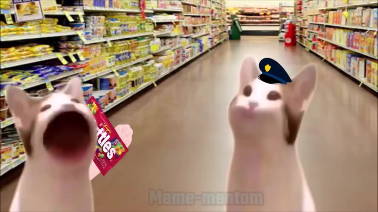 Pop Cat Skittles Meme -Meme Mentom