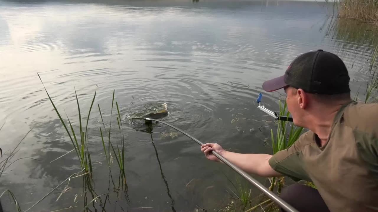 Feeder method fishing