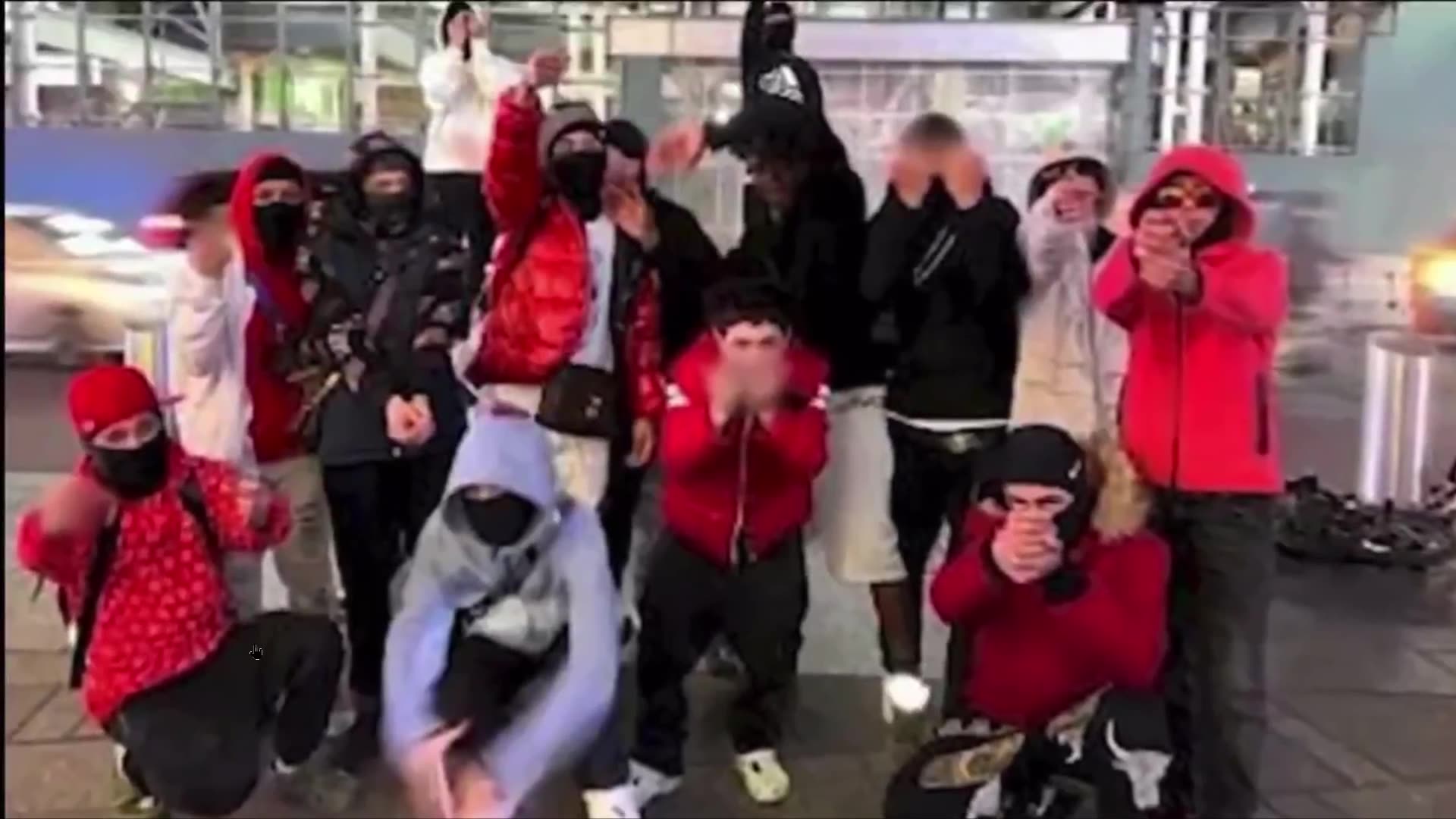 Hilarious Cats And Dogs Compilation 2024 ёяшв Best Funny Animal Moments