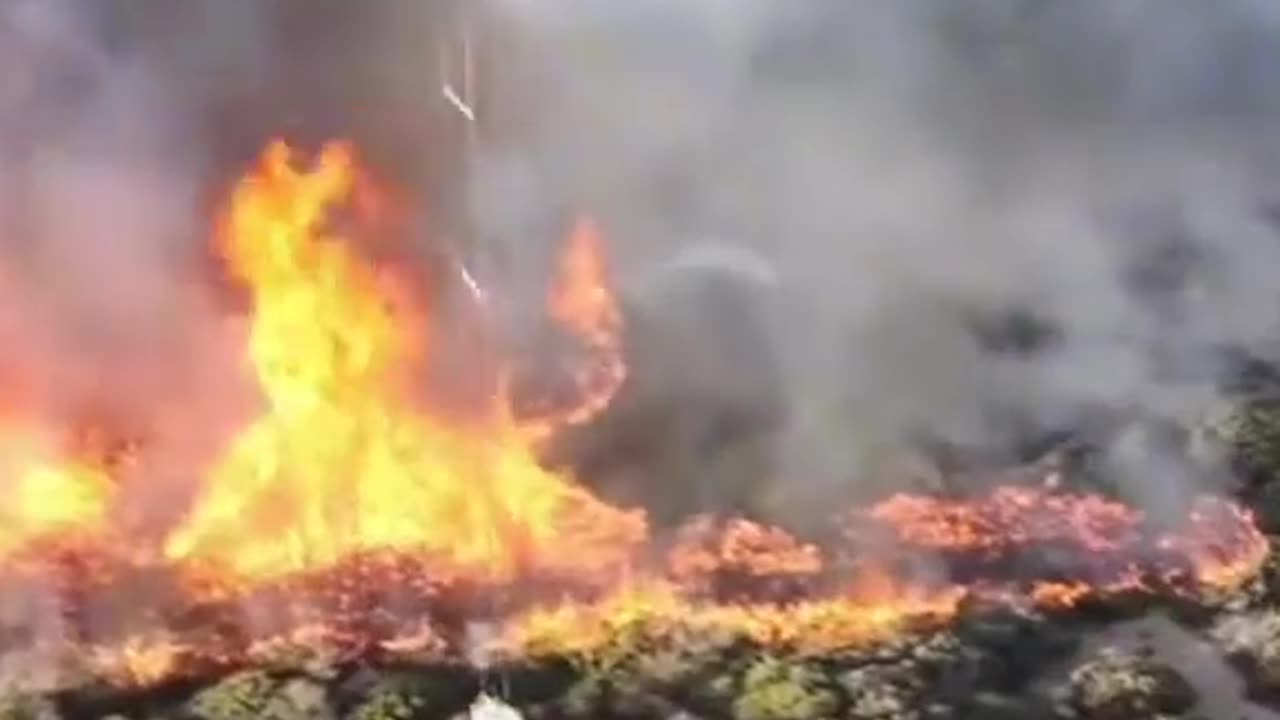 You now know what causes wildfires.