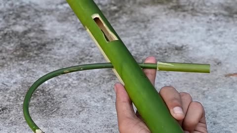 Bamboo creation with bamboo sticks slingshots