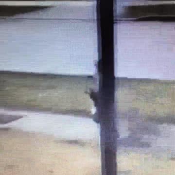 Their parents are in for a BIG SURPRISE!!🤣