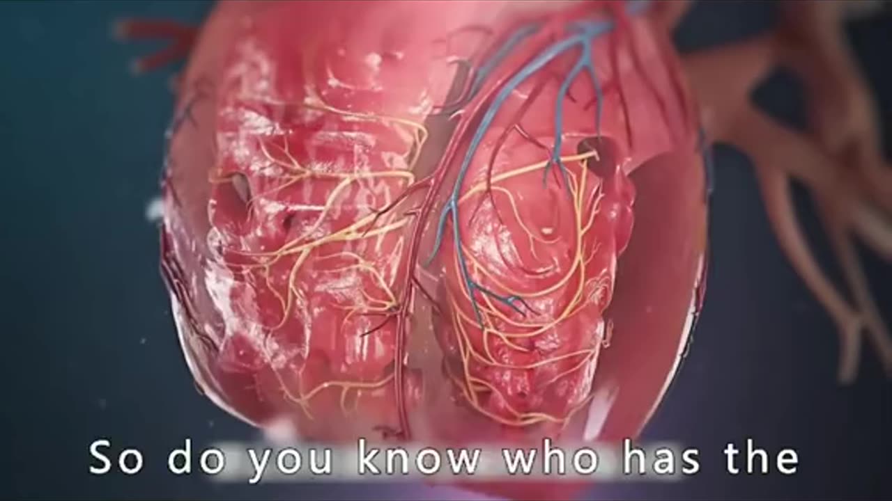 HEART WEIGHT 500 POUNDS?