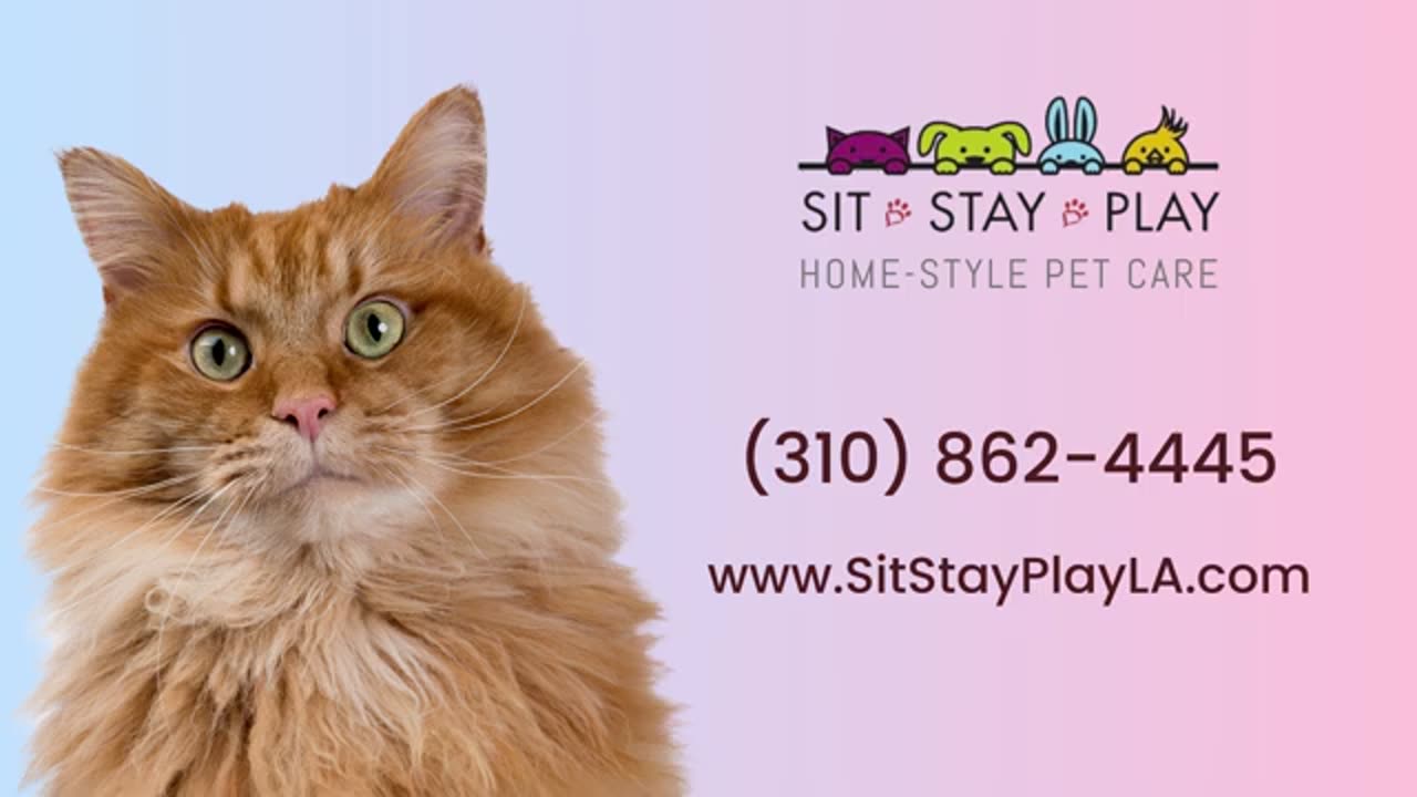 Cat sitting Venice * Call (310) 862-4445 | Sit Stay Play