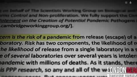 Behind the Screen of a Pandemic