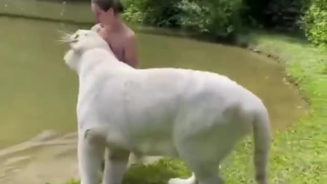 Best Funny Animal Videos of the year 2021 funniest animals ever relax with cute animals