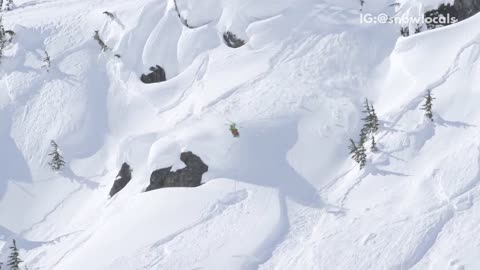 Music skiier going down mountain goes directly into tree