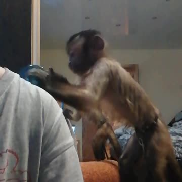 Did you order a massage?