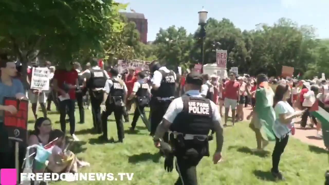 pro-Palestine activists ,smoke bombs and flares as they plan to surround the White House.