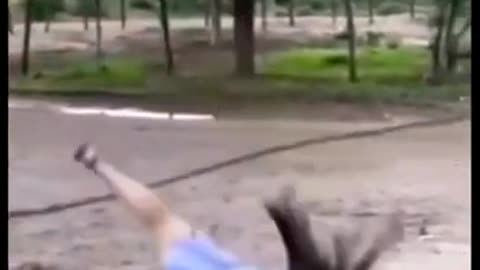 😂🤣Funny🤣🤣Like and Subscribe 🤣 #best #reels #shorts #funny #dog #dance #epic #fail RB Memes Edit