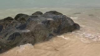 the sound of okinawa sea