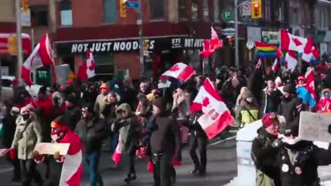 TORONTO STANDS TOGETHER