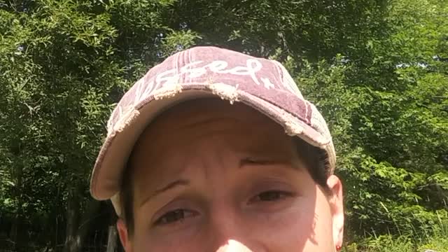 Warning Rant! I'm suck of the secular BS