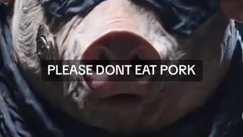 Please don’t eat pork