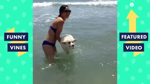 poor doggy c'ant swim😅😅